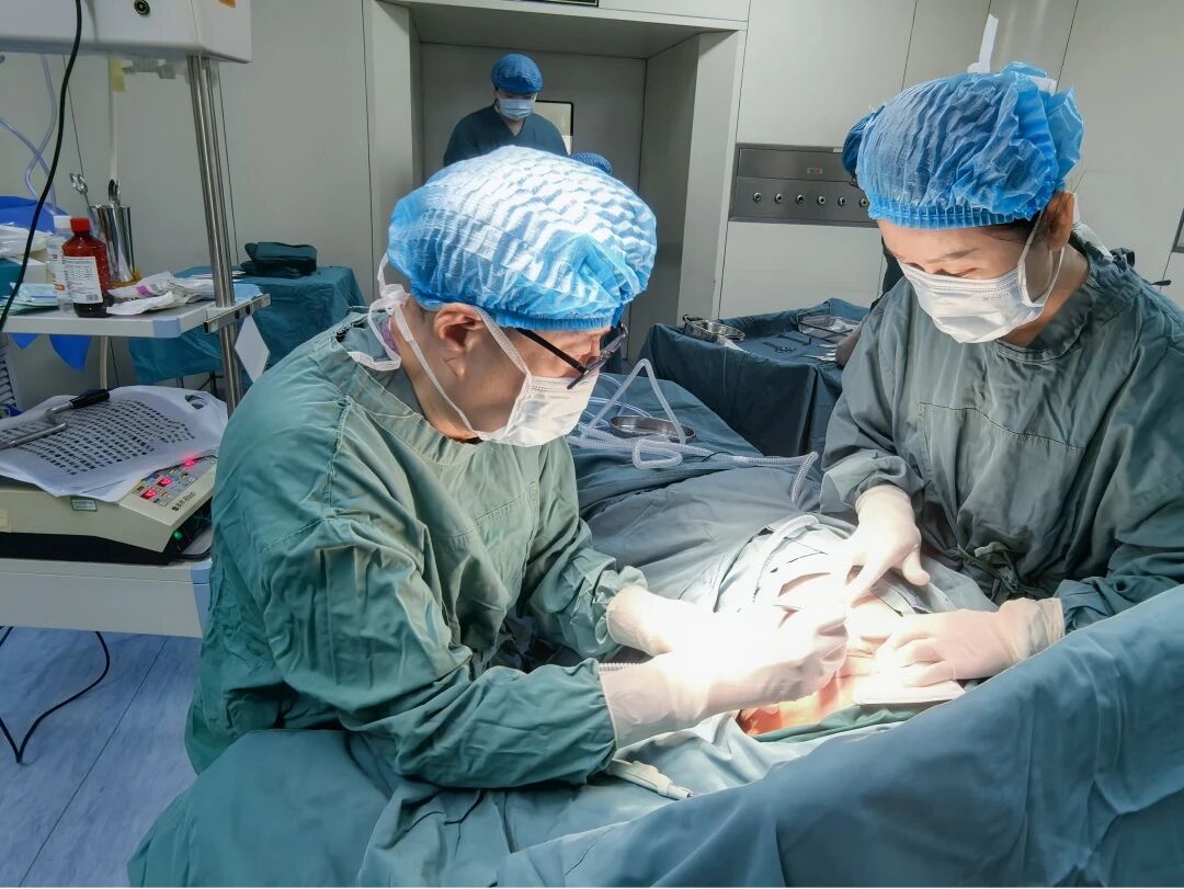 1773627722862.jpg 1773627722862.jpg